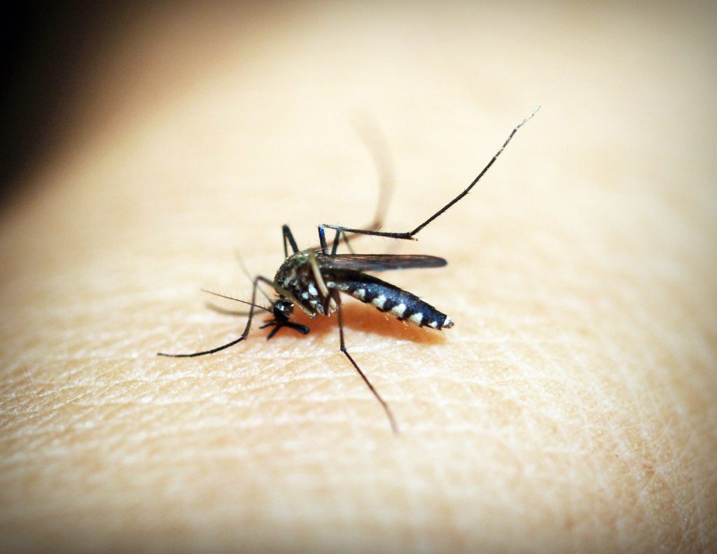 World Malaria Day - Ready to Beat Malaria