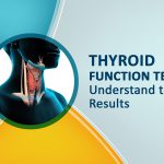 Thyroid Function Test and Regulation of Thyroid Hormone